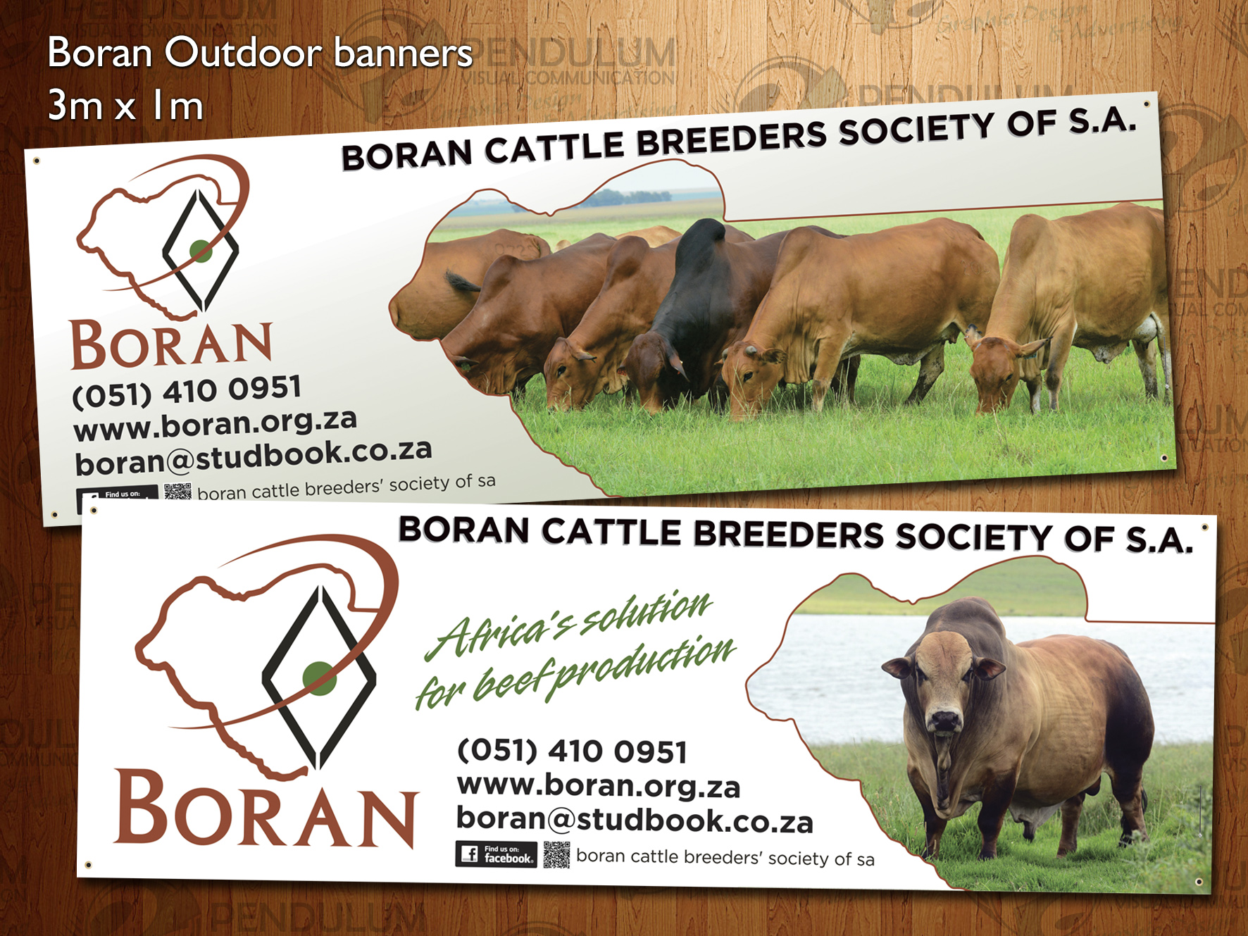 Banners - Boran