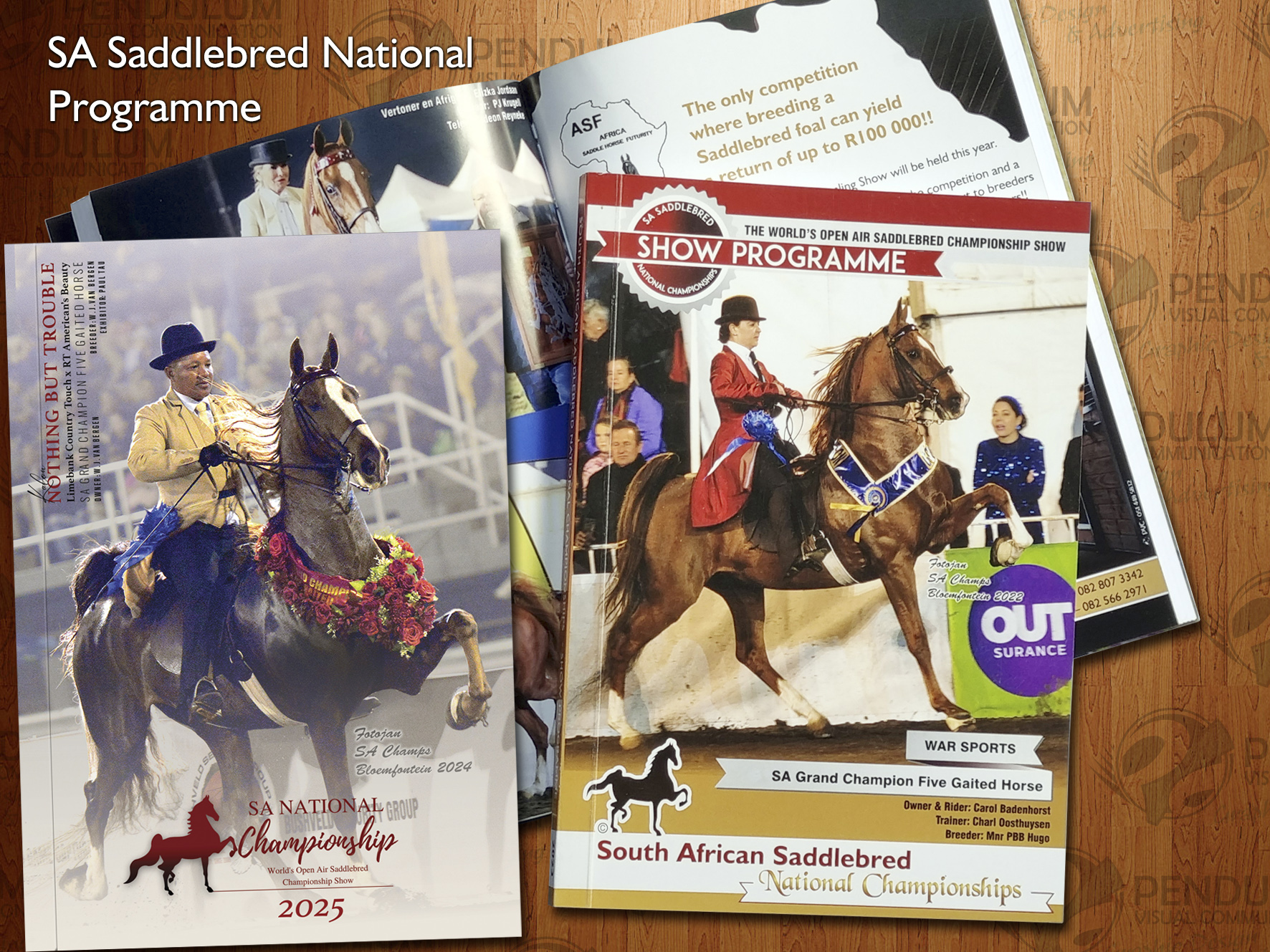 SA Saddlebred