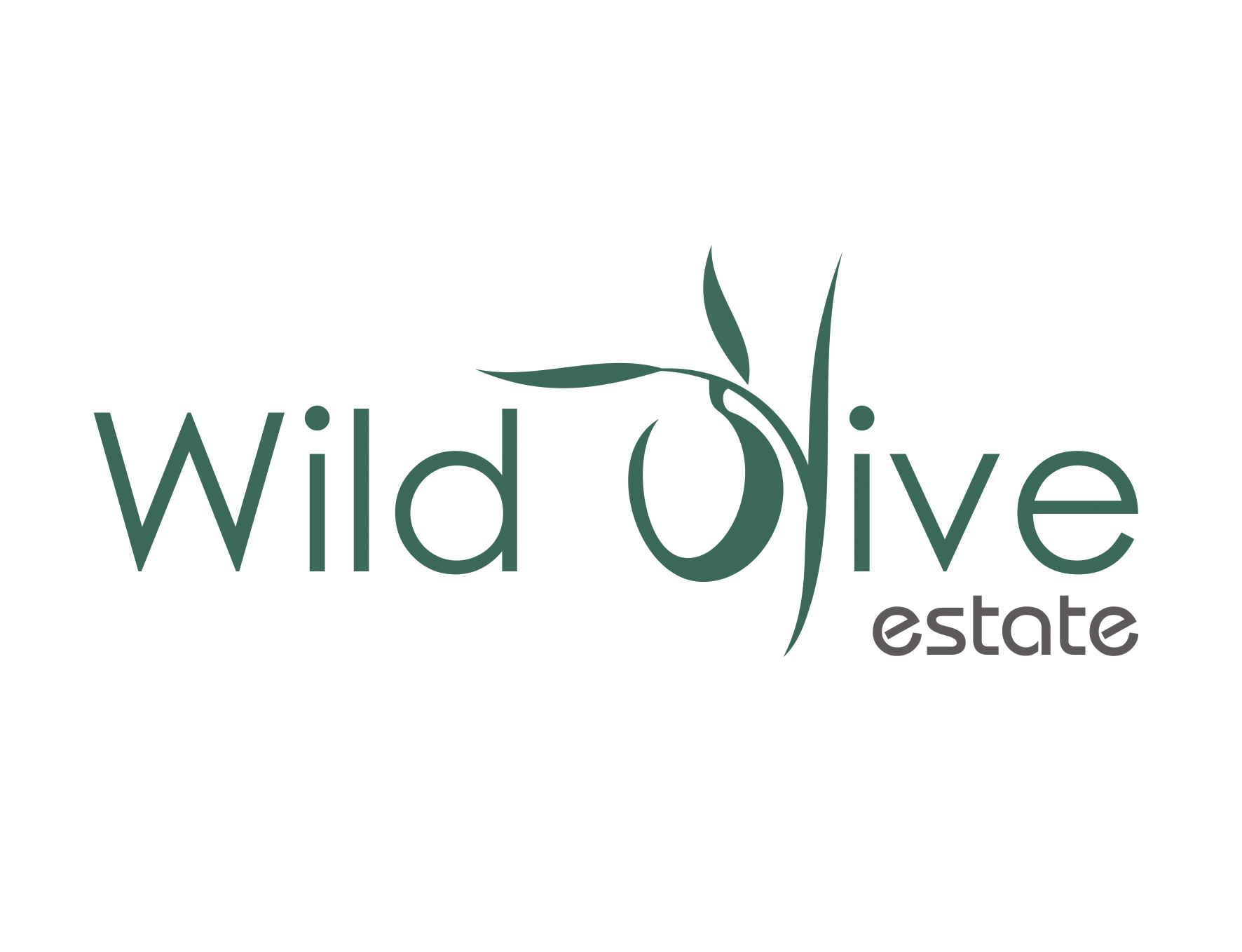 Wild Olive